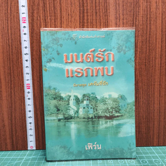 มนต์รักแรกพบ -เฟิร์น รูปที่ 1