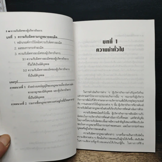 ความรับผิดของผู้บริหารกิจการทางแพ่งและทางอาญา - ดร.สุรศักดิ์ ลิขสิทธิ์วัฒนกุล รูปที่ 9
