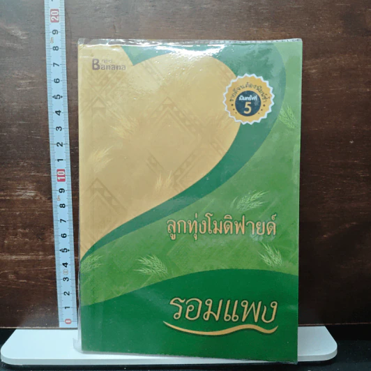 ลูกทุ่งโมดิฟายด์ - รอมแพง รูปที่ 1