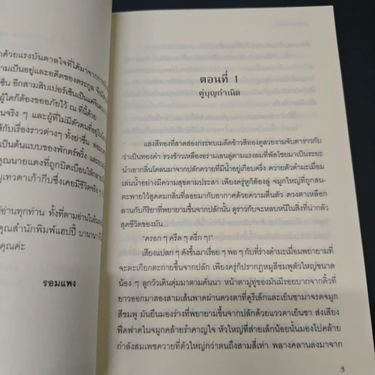 ลูกทุ่งโมดิฟายด์ - รอมแพง รูปที่ 7