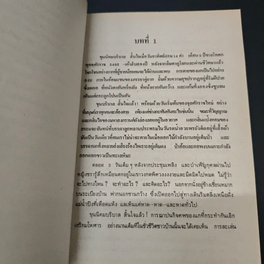 ทุ่งมหาราช - เรียมเอง รูปที่ 6