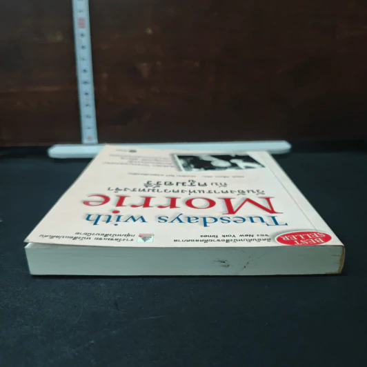 หนังสือ วันอังคารแห่งความทรงจำกับครูมอร์รี รูปที่ 5