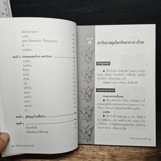 ตำรับยาแผนไทย ภาคใต้ รูปที่ 9