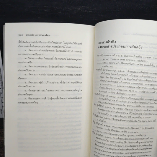 รากเหง้าบรรพชนคนไทย : พัฒนาการทางวัฒนธรรมก่อนประวัติศาสตร์ - สุรพล นาถะพินธุ รูปที่ 8