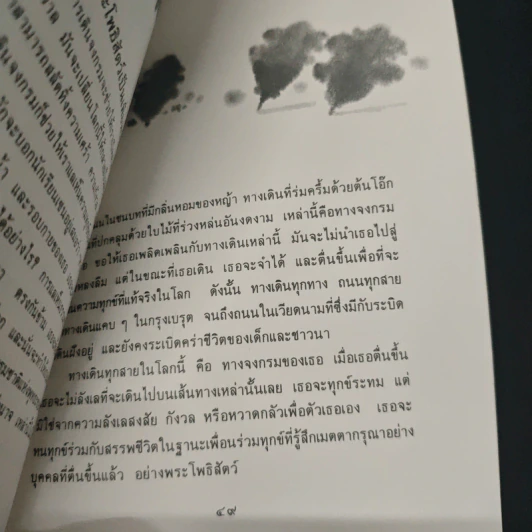เดิน วิถีแห่งสติ รูปที่ 9