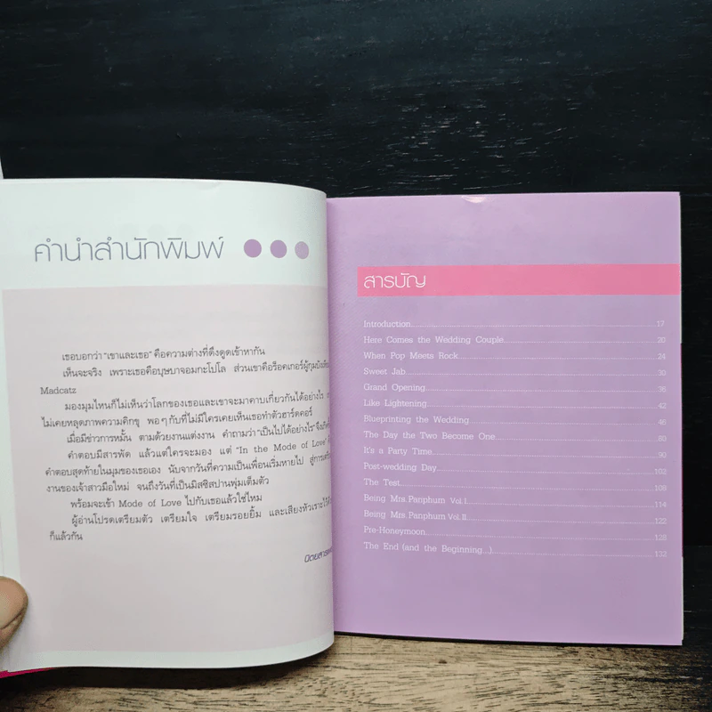 In The Mode Of Love รูปที่ 8