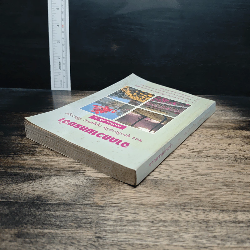 จากความทรงจำ อุบาสิกาถวิล(บุญทรง)วัติรางกูล รวมเรื่อง เล่ม 2 รูปที่ 5