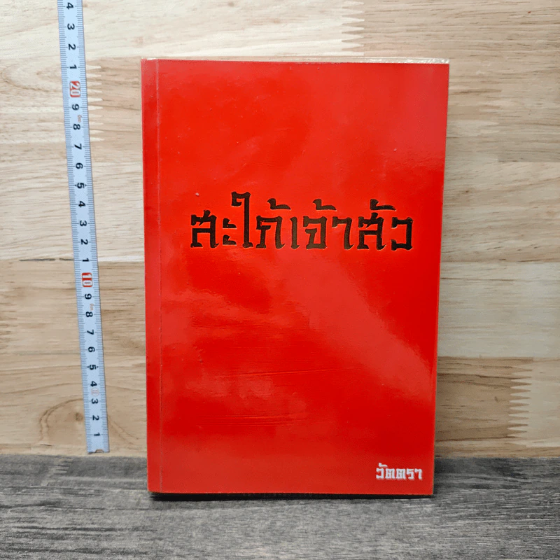 สะใภ้เจ้าสัว รูปที่ 1