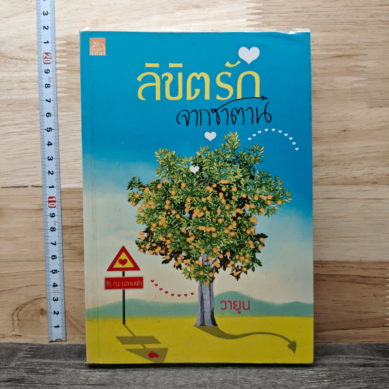 ลิขิตรักจากซาตาน - วายูน รูปที่ 1
