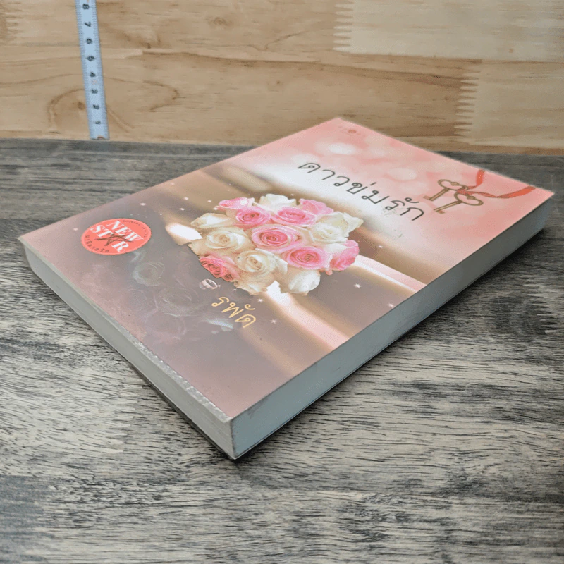 ดาวข่มรัก - รพัด รูปที่ 3