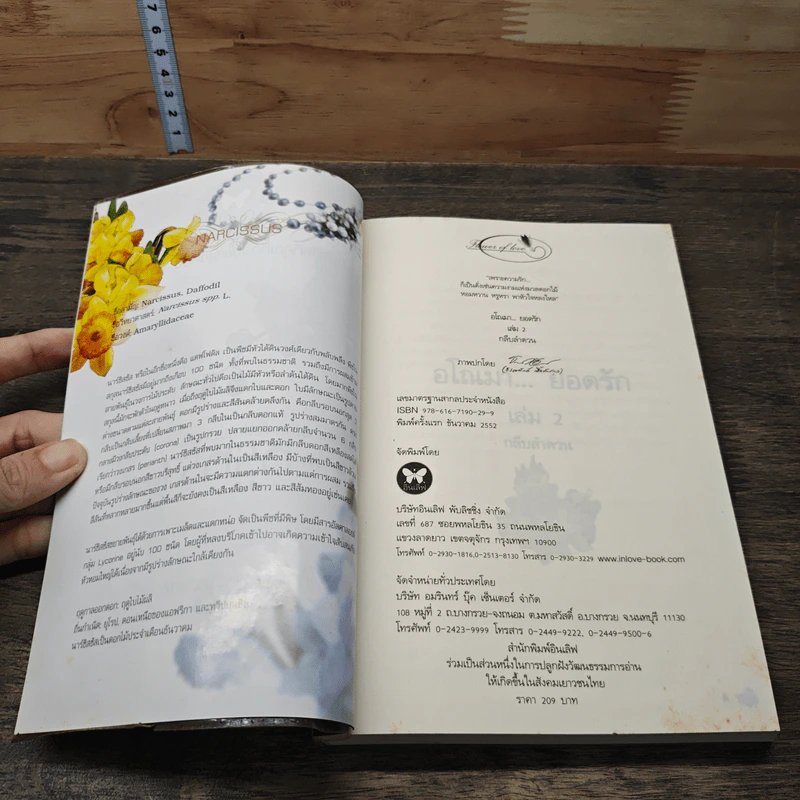 อโณมายอดรัก - กลีบลำดวน รูปที่ 6