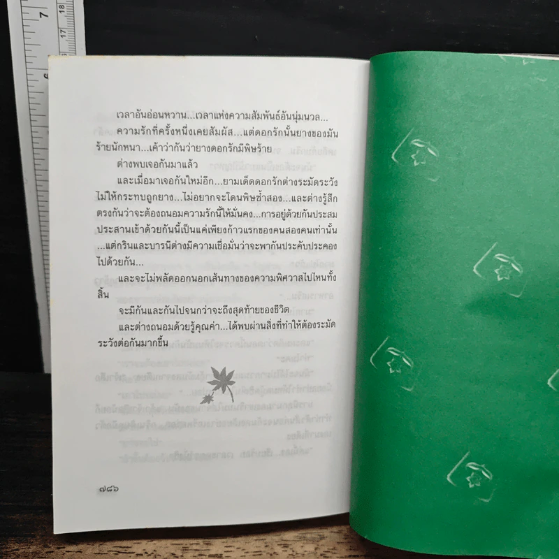 พิศวาสอลเวง - กันยามาส รูปที่ 8