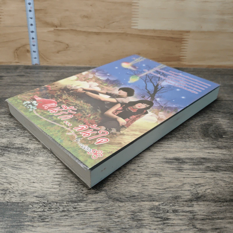 หนังสือ หนี้รัก...ล้นใจ รูปที่ 3