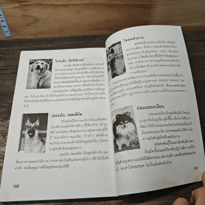บราวนี่ คุณตูบยอดอัศวิน ภาคโลกสุนัข (Dog World) เล่ม 1 - พ่อมดน้อย รูปที่ 9