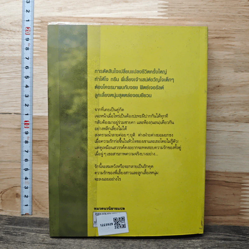 สะดุดรักหัวใจพี่เลี้ยง The Nanny รูปที่ 5