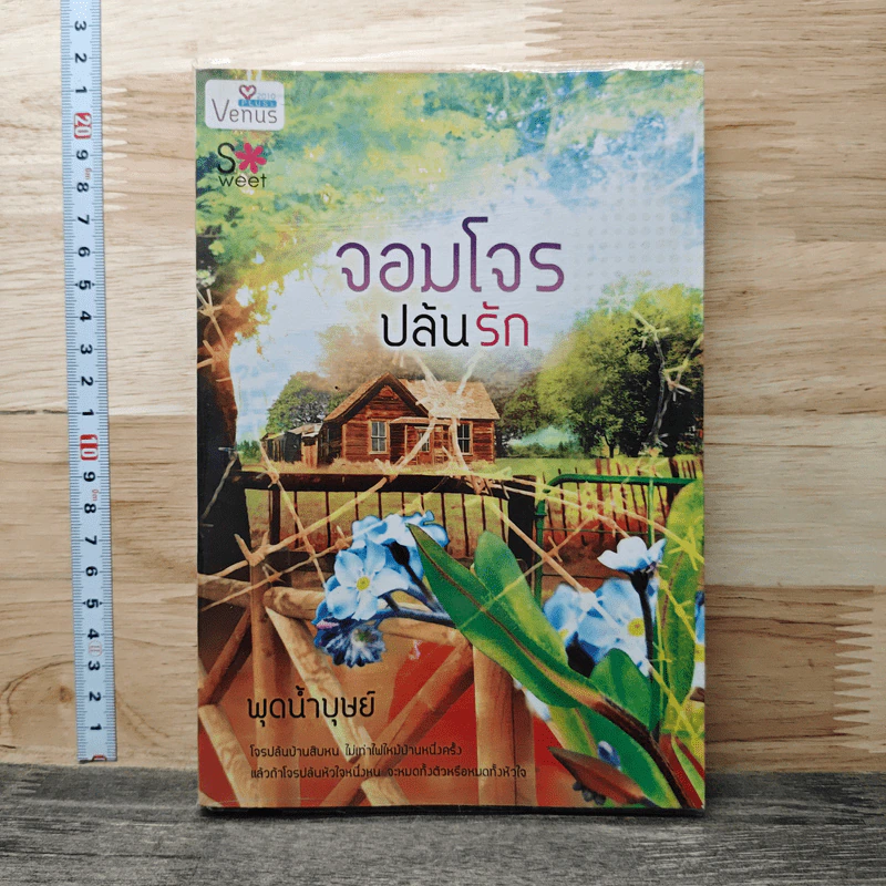 จอมโจรปล้นรัก - พุดน้ำบุษย์ รูปที่ 1