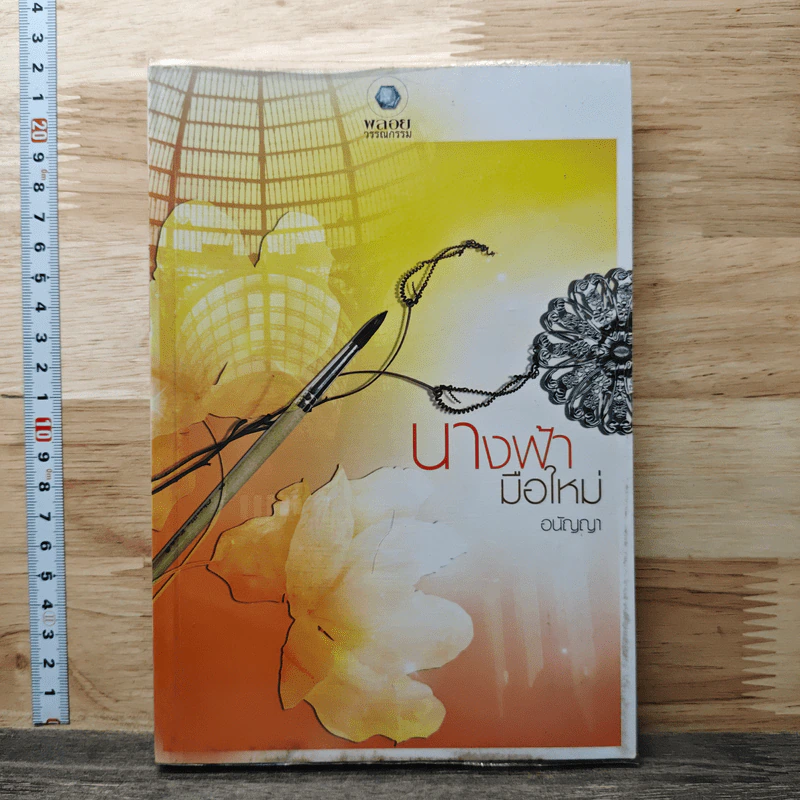 หนังสือ นางฟ้ามือใหม่ รูปที่ 1