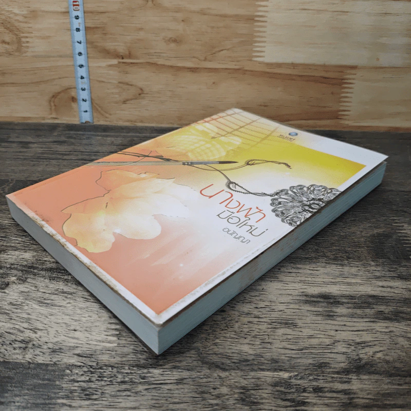 หนังสือ นางฟ้ามือใหม่ รูปที่ 3