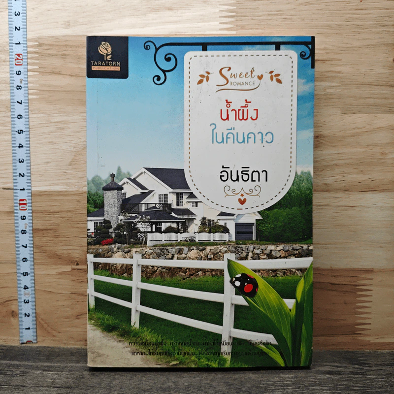 น้ำผึ้งในคืนคาว - อันธิตา รูปที่ 1