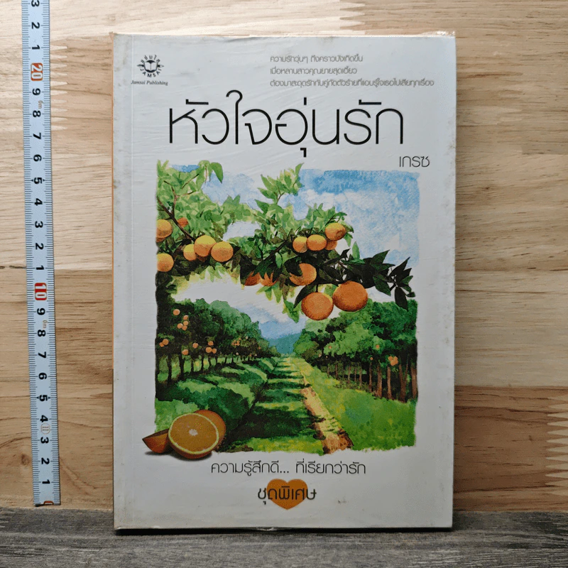 หัวใจอุ่นรัก - เกรซ รูปที่ 1