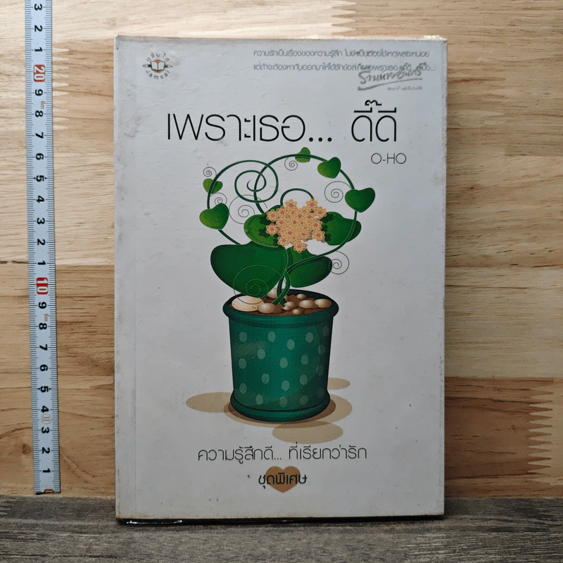 หนังสือ เพราะเธอ...ดี๊ดี รูปที่ 1