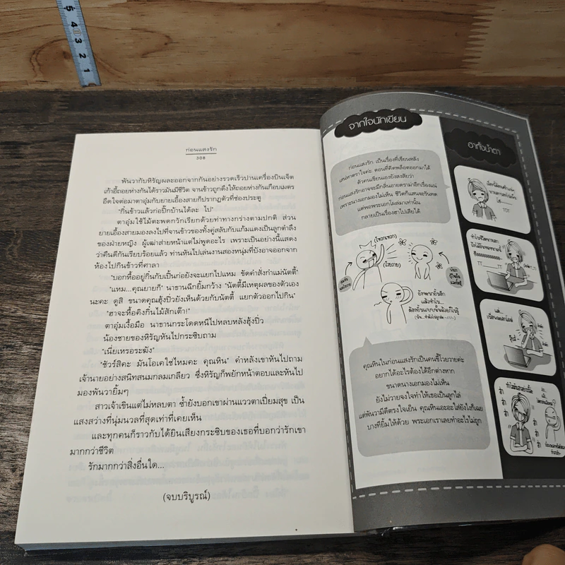 ก่อนแสงรัก รูปที่ 8