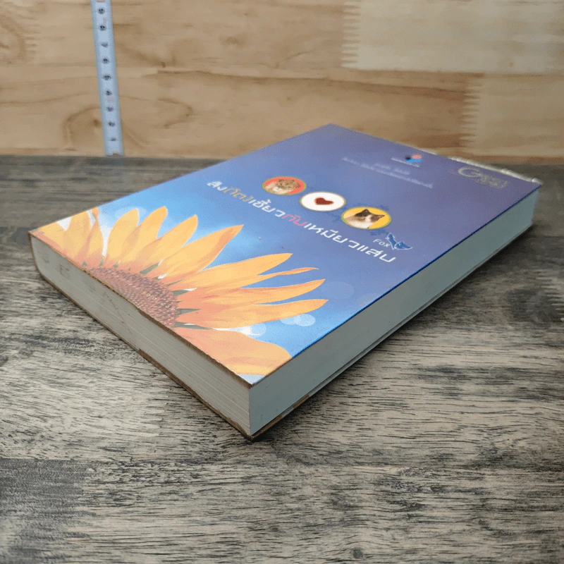 สิงห์(โต)เซี้ยวกับเหมียวแสบ เล่ม 2 - Fox รูปที่ 3