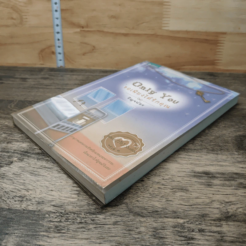 หนังสือ Only You ขอเพียงได้รักคุณ รูปที่ 3