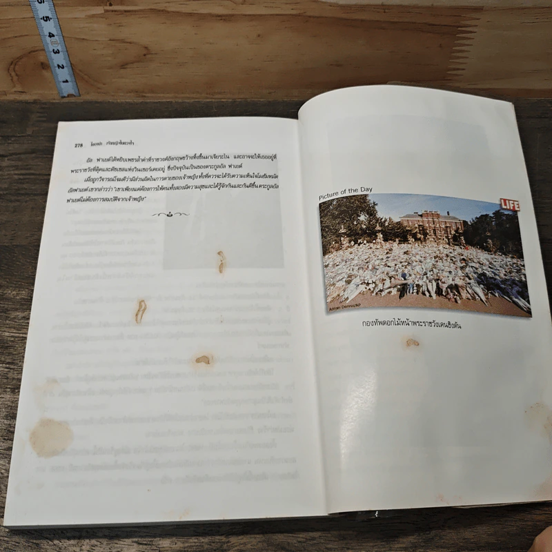 ไดอาน่าเจ้าหญิงในดวงใจ - วรรธนา วงษ์ฉัตร, ภัคพงษ์ รูปที่ 9