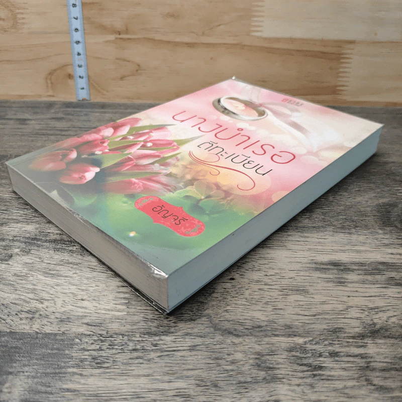 หนังสือ นางบำเรอตีทะเบียน รูปที่ 3