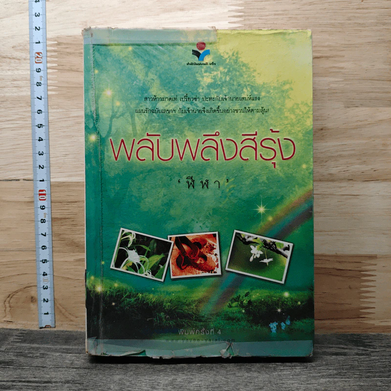 พลับพลึงสีรุ้ง รูปที่ 1