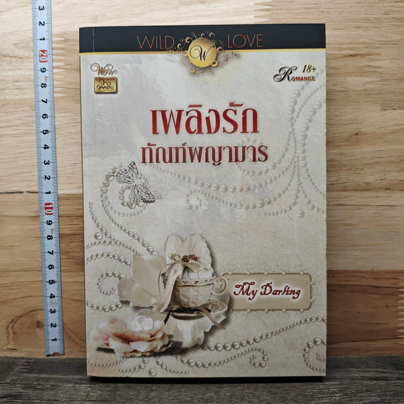 เพลิงรักทัณฑ์พญามาร - my darling รูปที่ 1