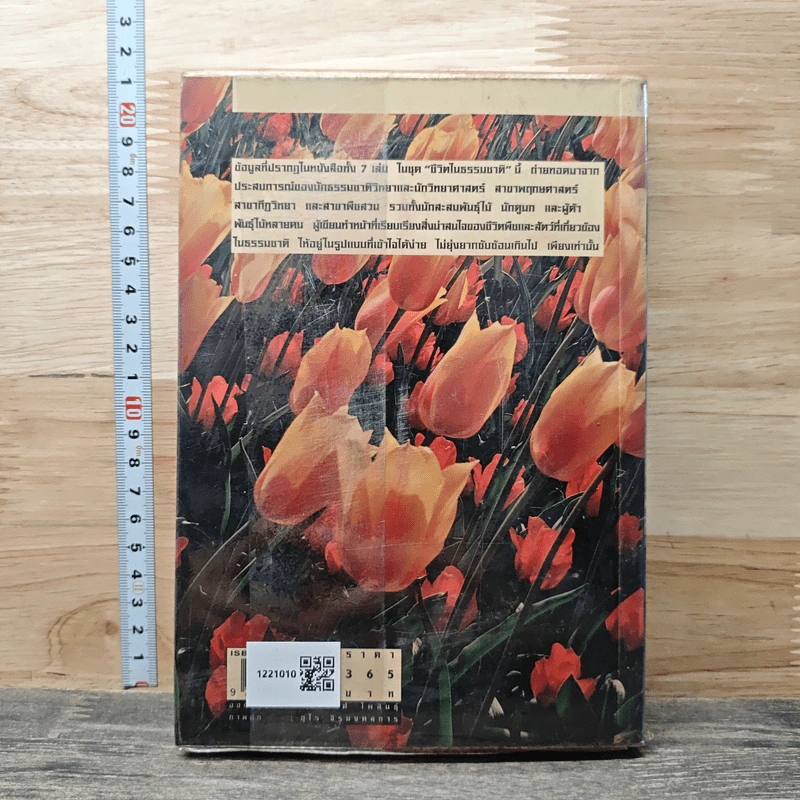 เรื่องของดอกไม้ Flowers - ม.ล.จารุพันธ์ ทองแถม รูปที่ 4