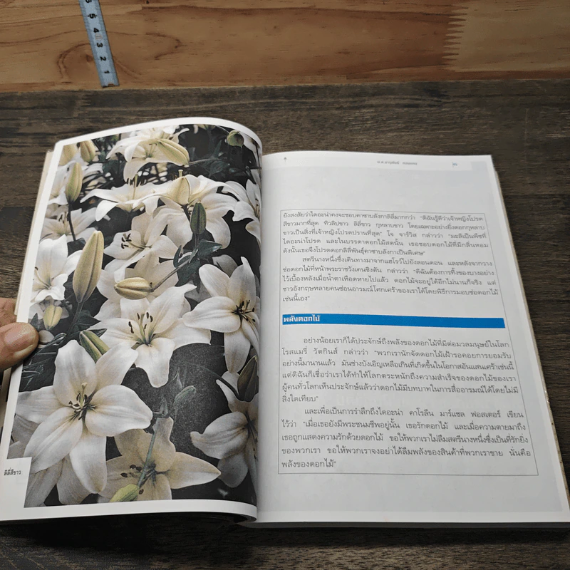 เรื่องของดอกไม้ Flowers - ม.ล.จารุพันธ์ ทองแถม รูปที่ 7