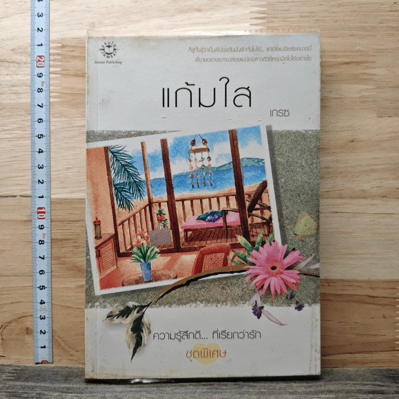 แก้มใส - เกรซ รูปที่ 1