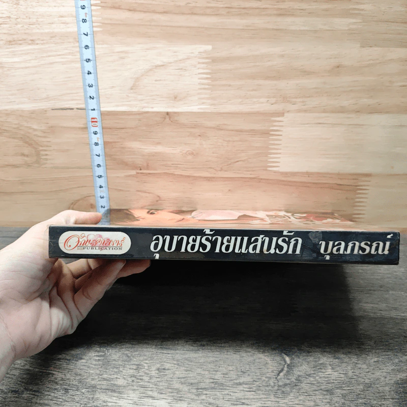 อุบายร้ายแสนรัก - บุลภรณ์ รูปที่ 2