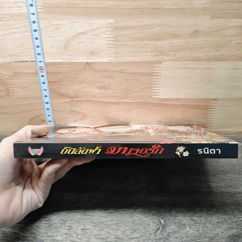 หนังสือ บินลัดฟ้ามาเจอรัก รูปที่ 2