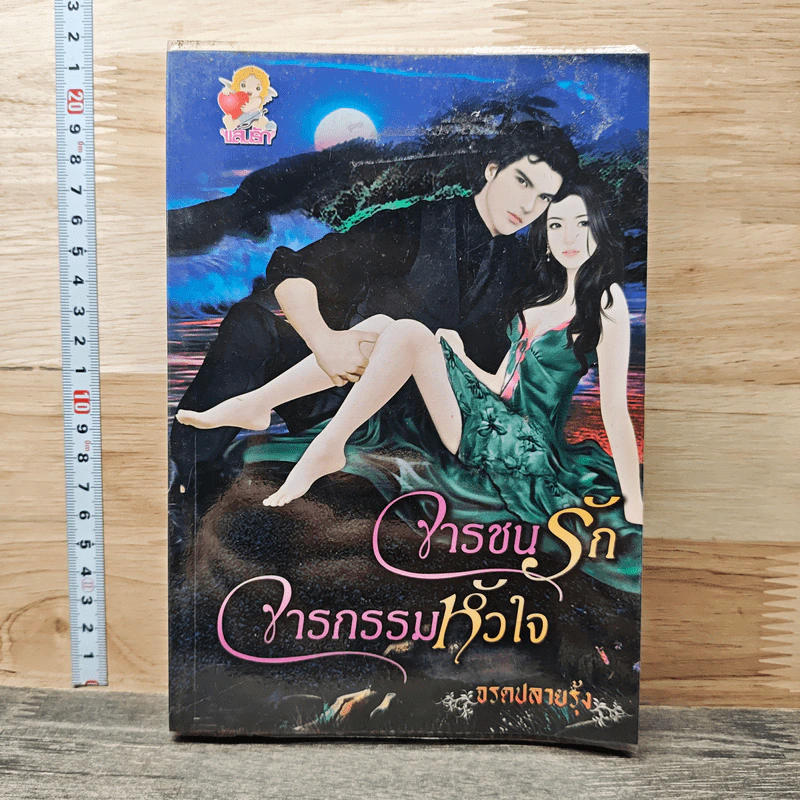 จารชนรักจารกรรมหัวใจ - จรดปลายรุ้ง รูปที่ 1