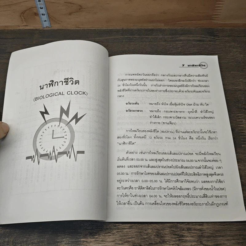 นาฬิกาชีวิต Biological Clock - อ.นวลฉวี ทรรพนันทน์ รูปที่ 7