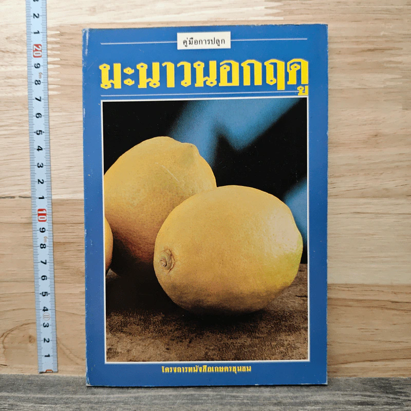 คู่มือการปลูกมะม่วงนอกฤดู รูปที่ 1
