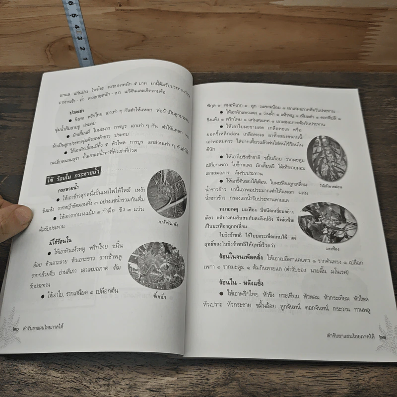 ตำรับยาแผนไทย ภาคใต้ - ร่วม รัตนะ รูปที่ 10