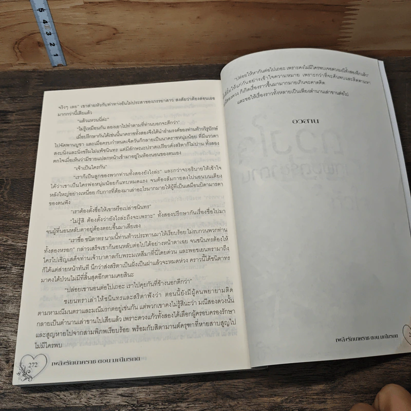 เพลิงรักนาคราช ภาค มณีมรกต - วรัทชิยา รูปที่ 8