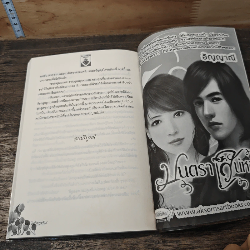 พ่ายรักเกมร้าย - จันทร์ใจ รูปที่ 8