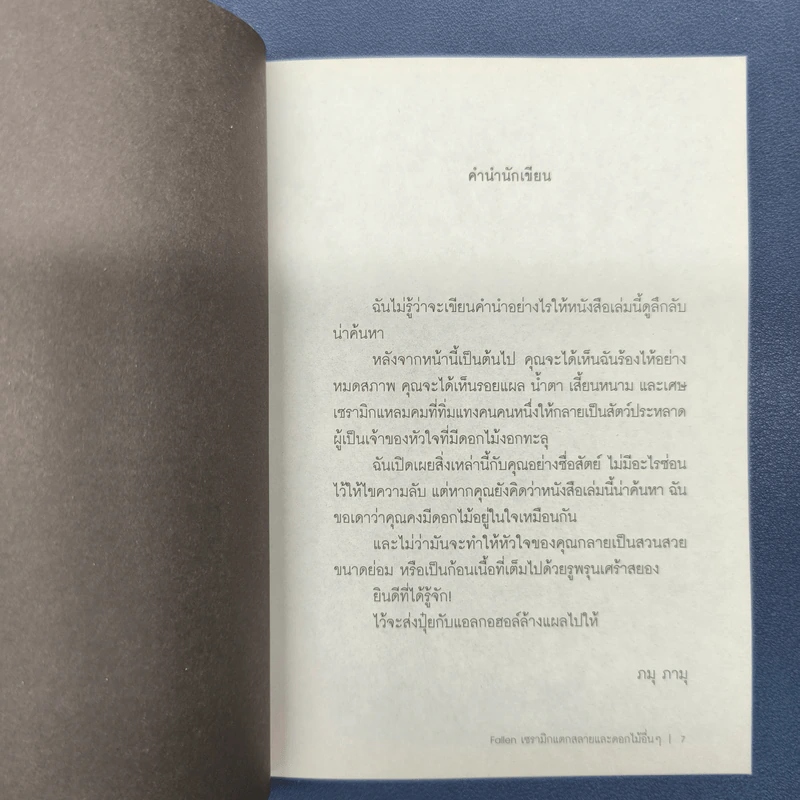 Fallen เซรามิกแตกสลายและดอกไม้อื่นๆ - ภมุ ภามุ รูปที่ 6