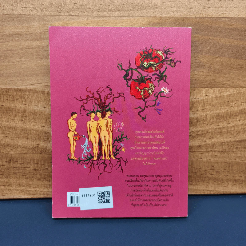 Monsoon มรสุมและพายุหมุนเขตร้อน - ปอ เปรมสำราญ รูปที่ 5
