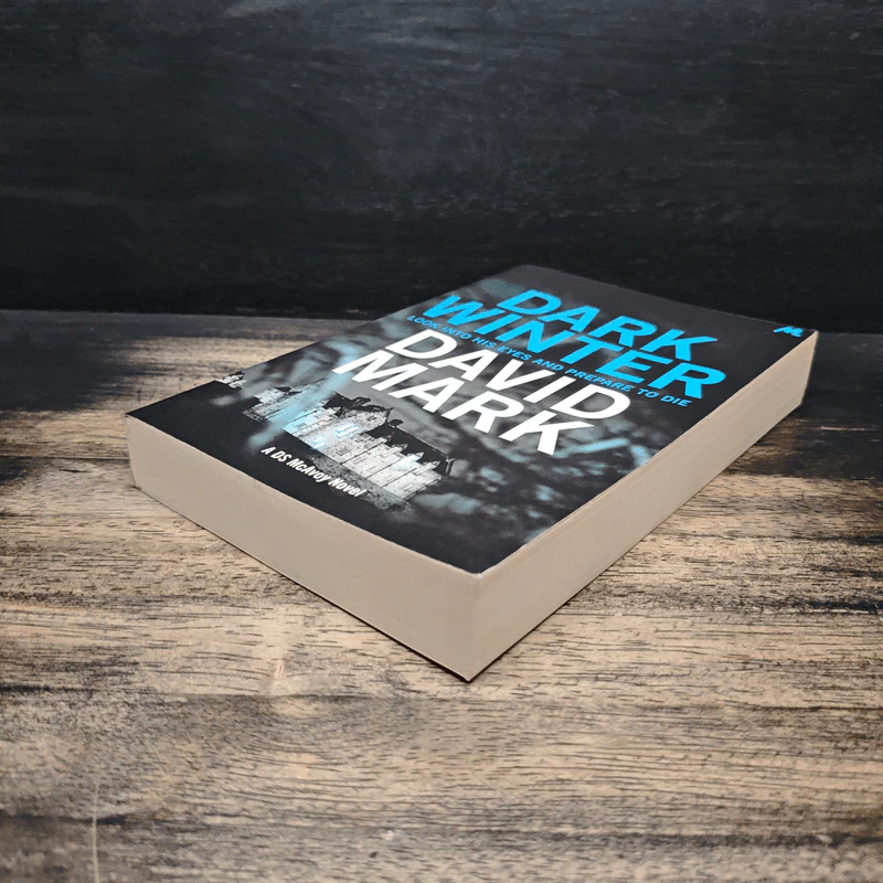 Dark Winter - David Mark รูปที่ 4