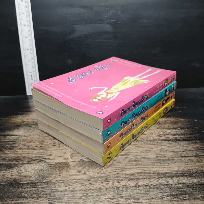 หนังสือ ข้ามขอบฟ้ามาหาหัวใจ 4 เล่มจบ รูปที่ 4