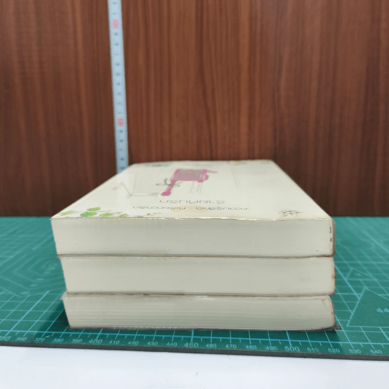 ความรู้สึกดี ที่เรียกว่ารัก ชุด หอหลอนรัก 3 เล่ม - นภชล, Andra รูปที่ 5