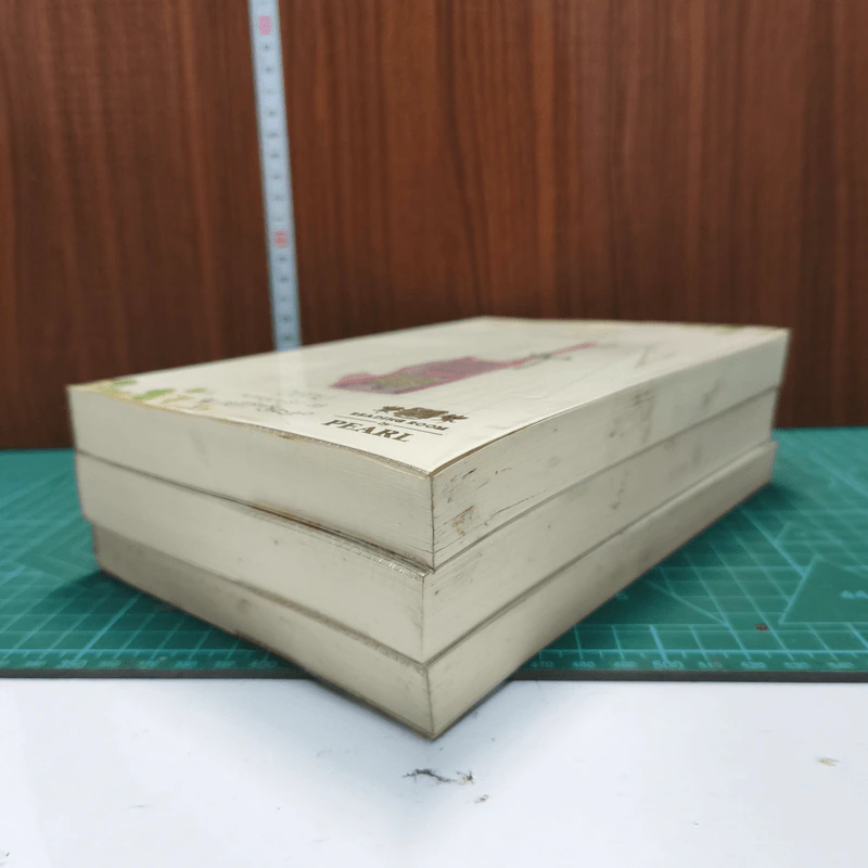 ความรู้สึกดี ที่เรียกว่ารัก ชุด หอหลอนรัก 3 เล่ม - นภชล, Andra รูปที่ 3