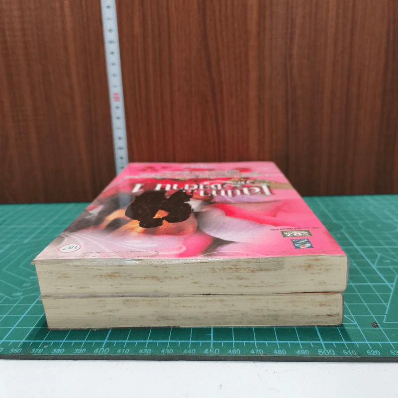 เสน่หา...ซาตาน เล่ม 1-2 รูปที่ 4